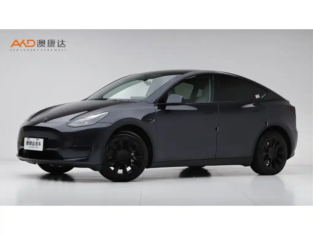 Tesla Model Y 2024 из CN, фото 1