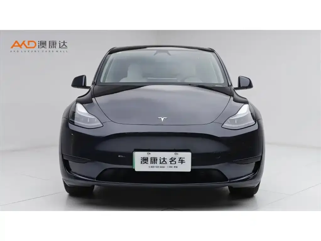 Tesla Model Y 2024 из CN, фото 7