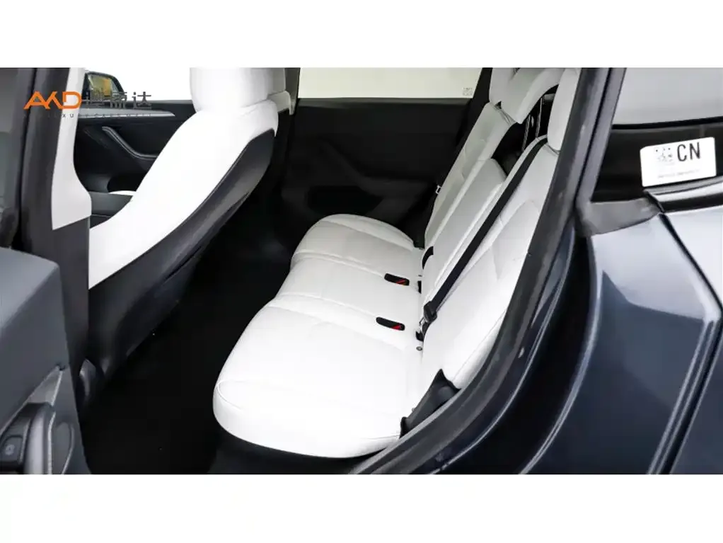 Tesla Model Y 2024 из CN, фото 5
