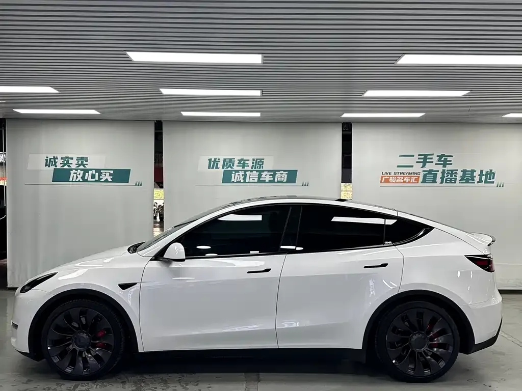 Tesla Model Y — фото 10