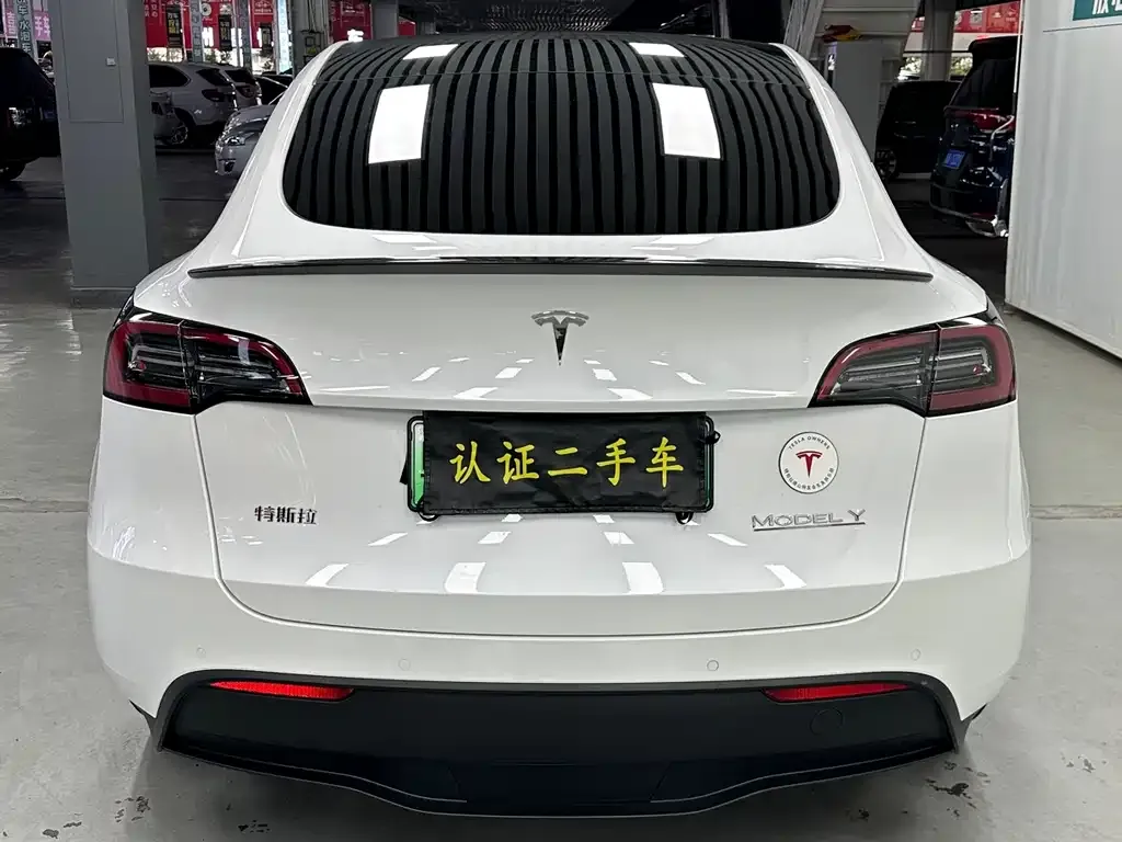 Tesla Model Y — фото 5