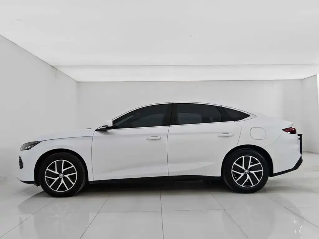 BYD Qin L — фото 2