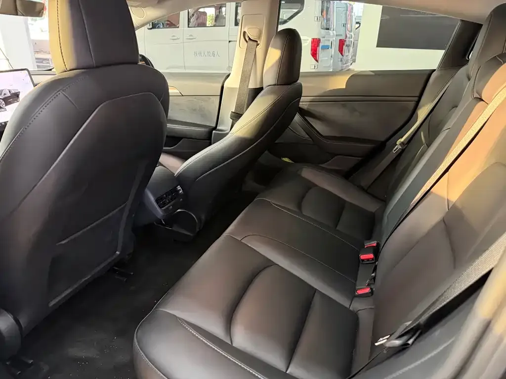 Tesla Model 3 2023 из CN, фото 4