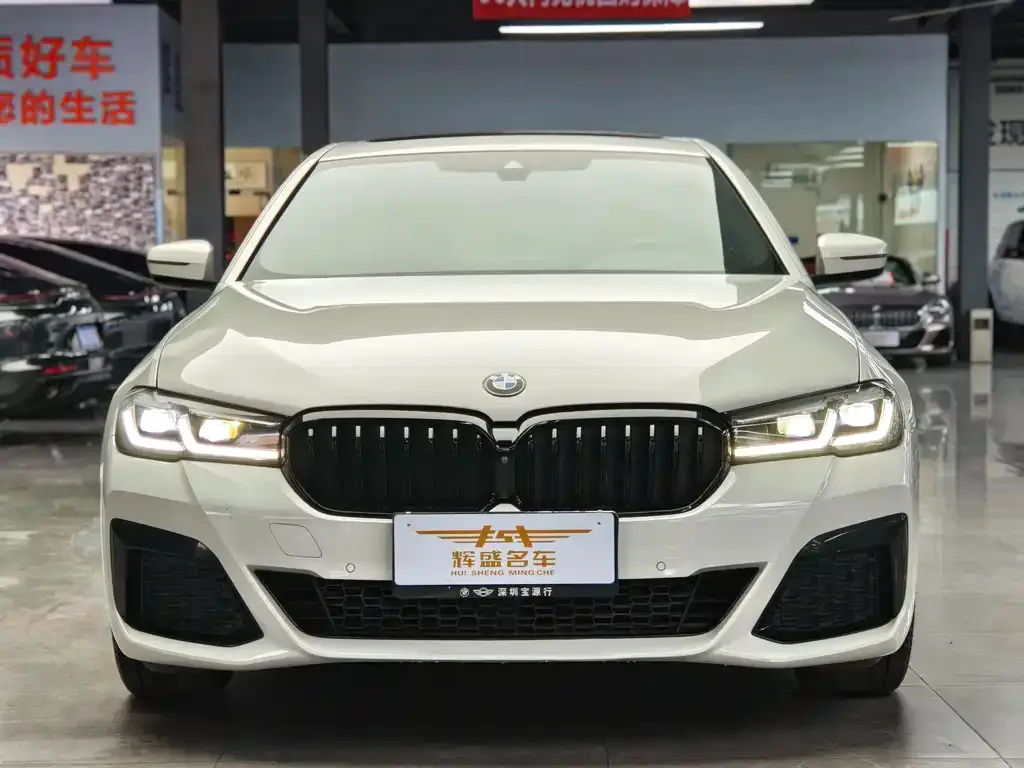 BMW 5 Series (Import) 2021 из CN, фото 3