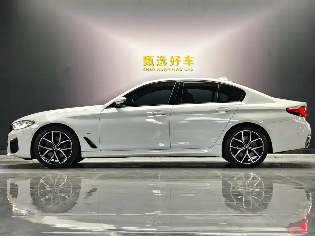 BMW 5 Series (Import) 2021 из CN, фото 9