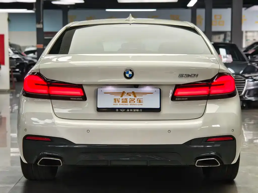 BMW 5 Series (Import) 2021 из CN, фото 2