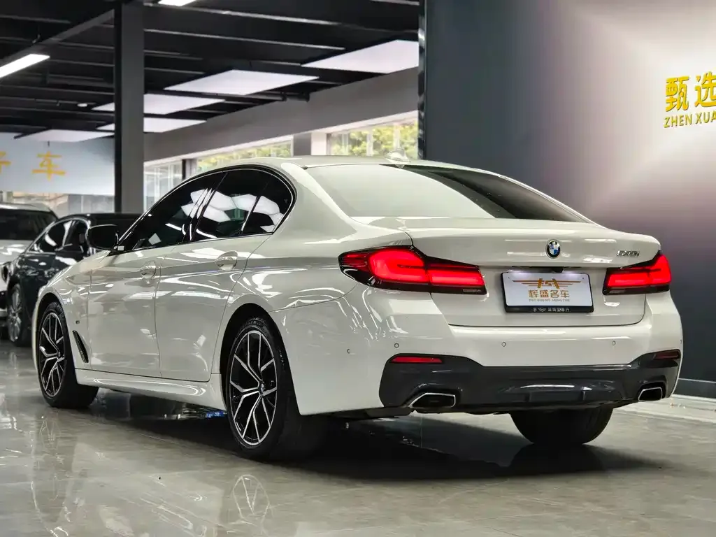 BMW 5 Series (Import) 2021 из CN, фото 4