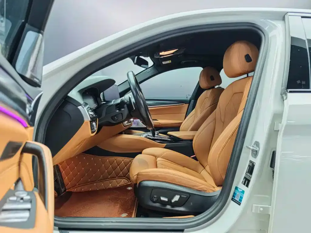 BMW 5 Series (Import) 2021 из CN, фото 6
