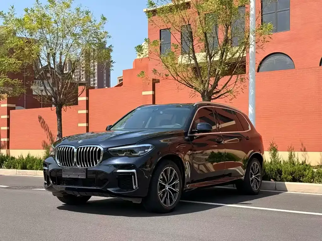 BMW X5 2023 из CN, фото 1