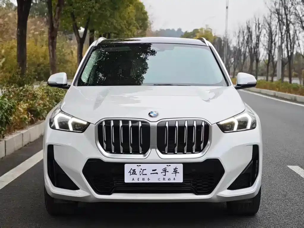BMW X1 2023 из CN, фото 8