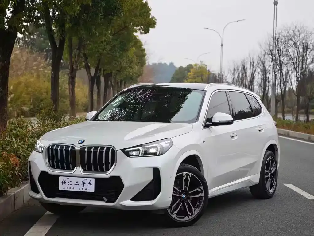 BMW X1 2023 из CN, фото 3
