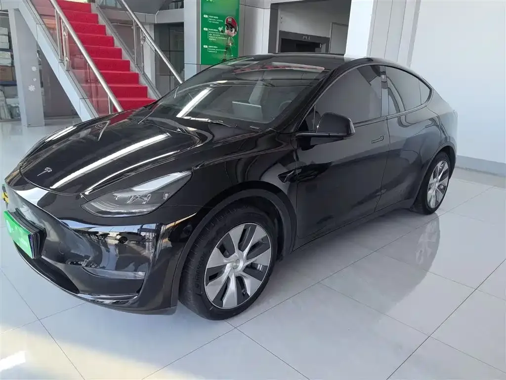 Tesla Model Y 2021 из CN, фото 1
