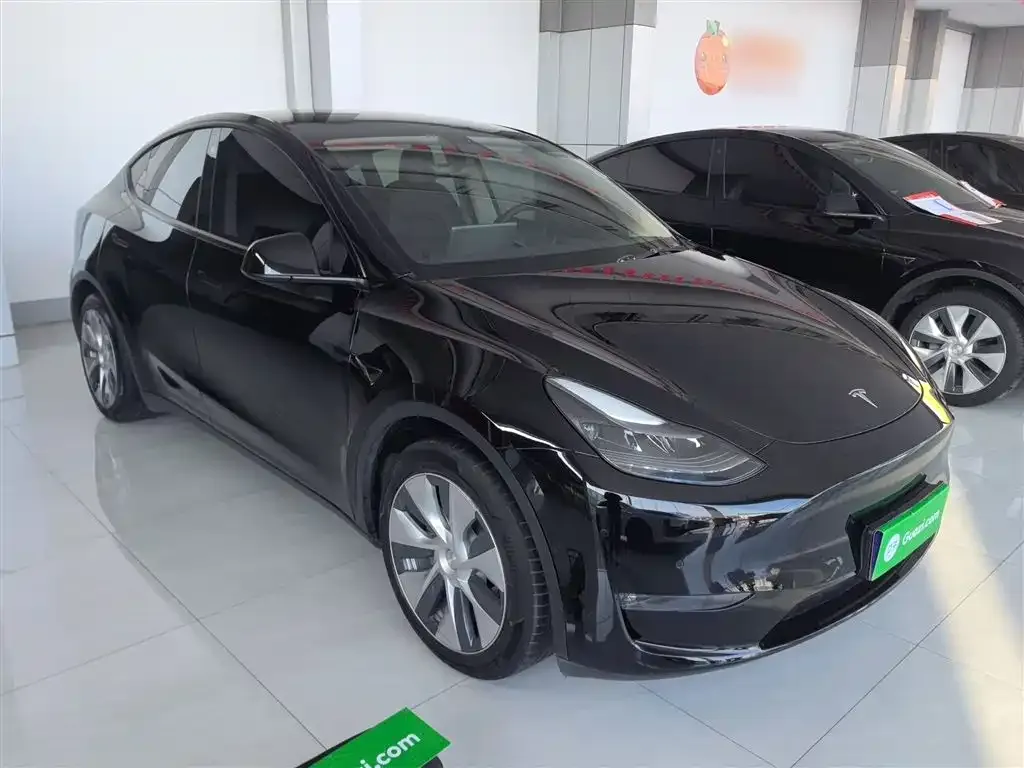 Tesla Model Y 2021 из CN, фото 4