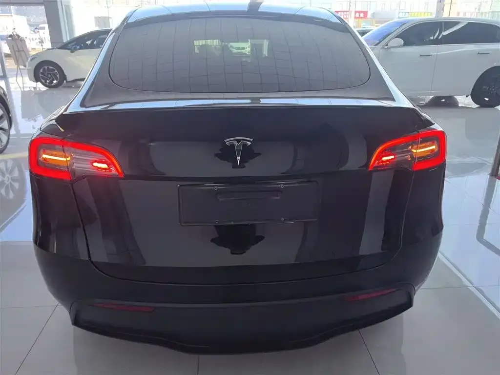 Tesla Model Y 2021 из CN, фото 6