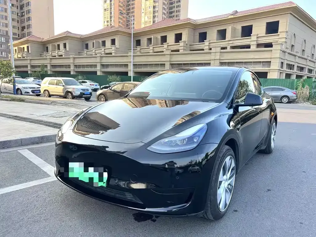 Tesla Model Y 2023 из CN, фото 1