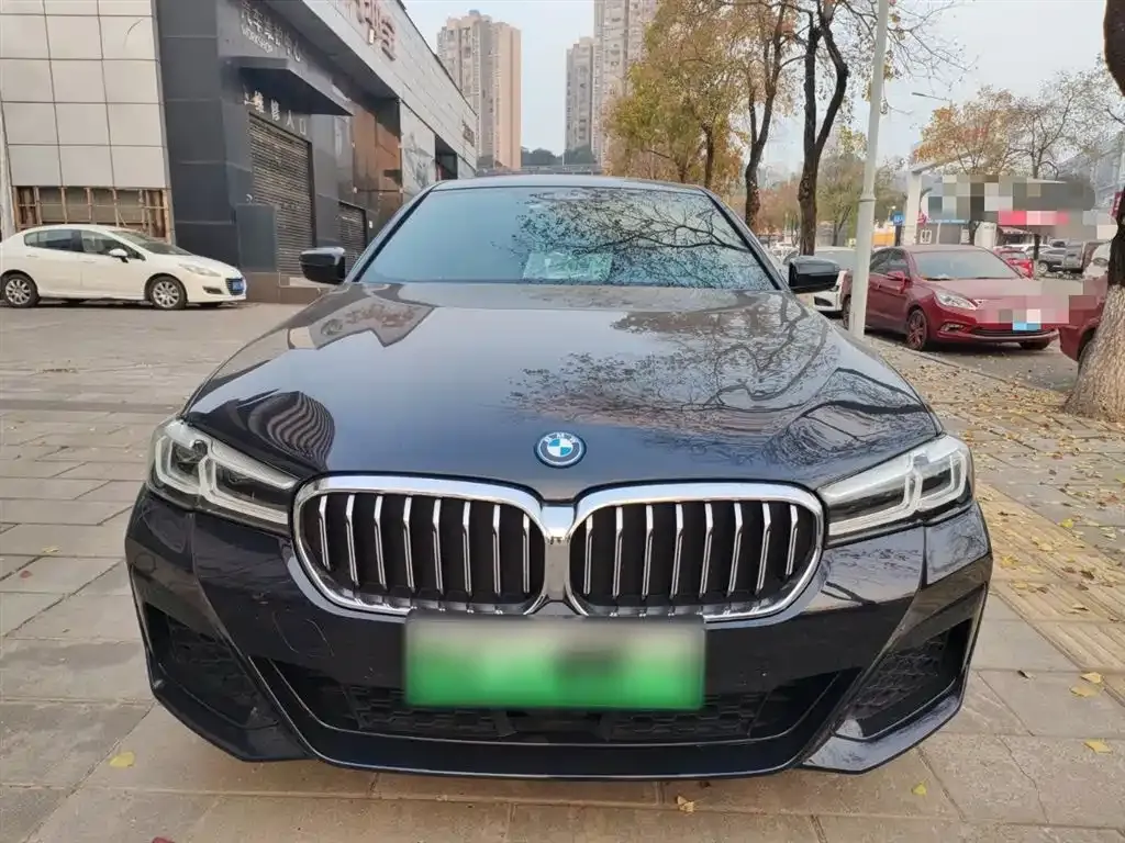 BMW 5 Series New Energy 2021 из CN, фото 10