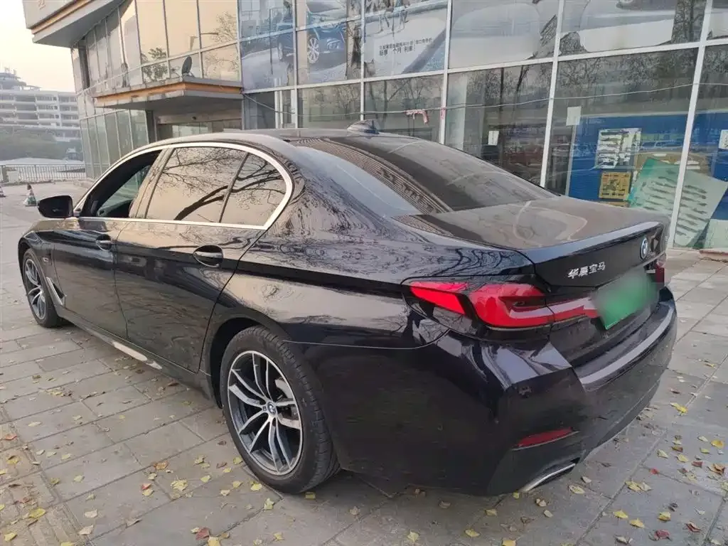 BMW 5 Series New Energy 2021 из CN, фото 8