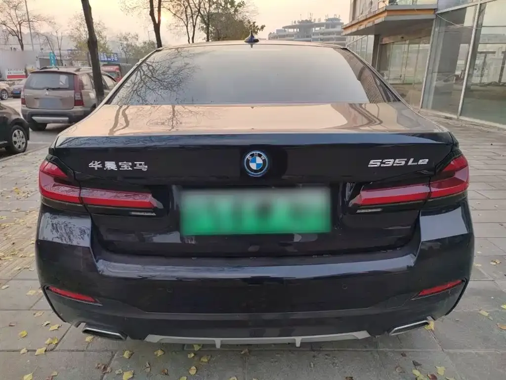 BMW 5 Series New Energy 2021 из CN, фото 4