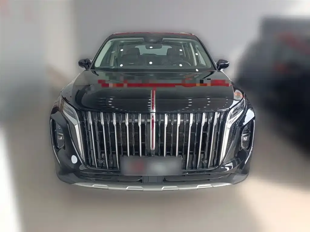Hongqi HS7 PHEV 2024 из CN, фото 5