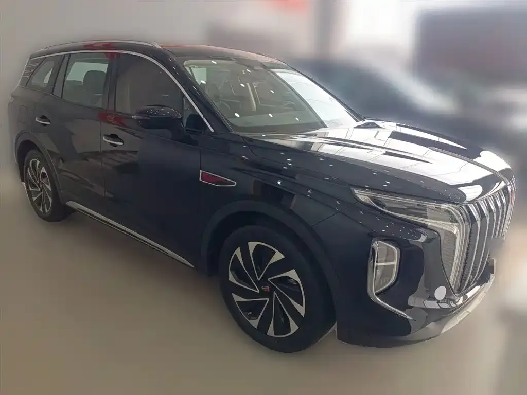 Hongqi HS7 PHEV 2024 из CN, фото 9