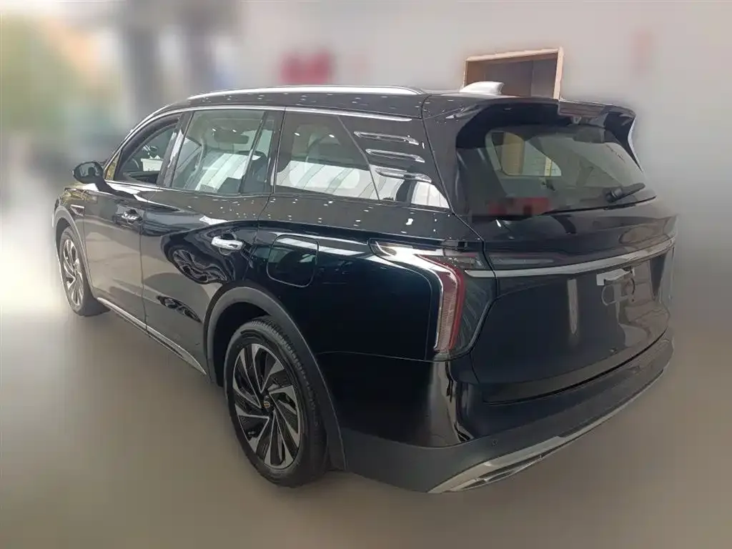 Hongqi HS7 PHEV 2024 из CN, фото 6