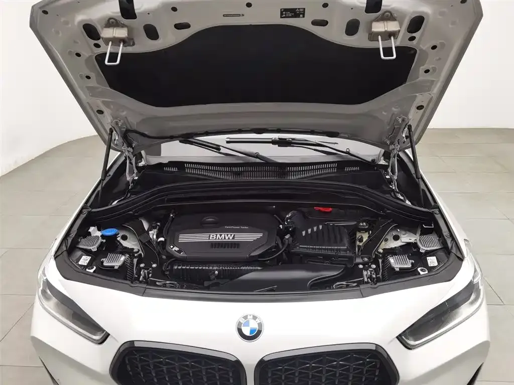 BMW X2 2023 из CN, фото 9