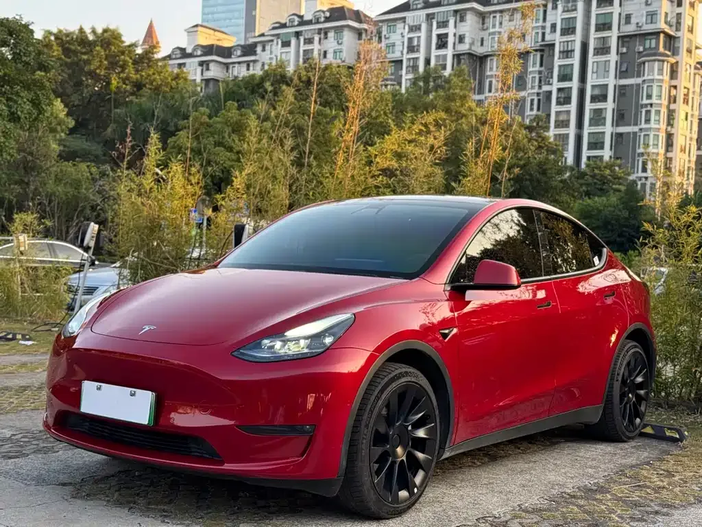 Tesla Model Y 2023 из CN, фото 1
