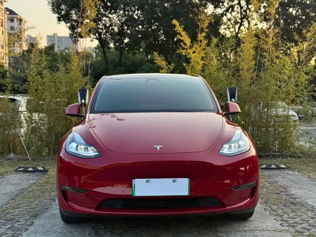 Tesla Model Y 2023 из CN, фото 2