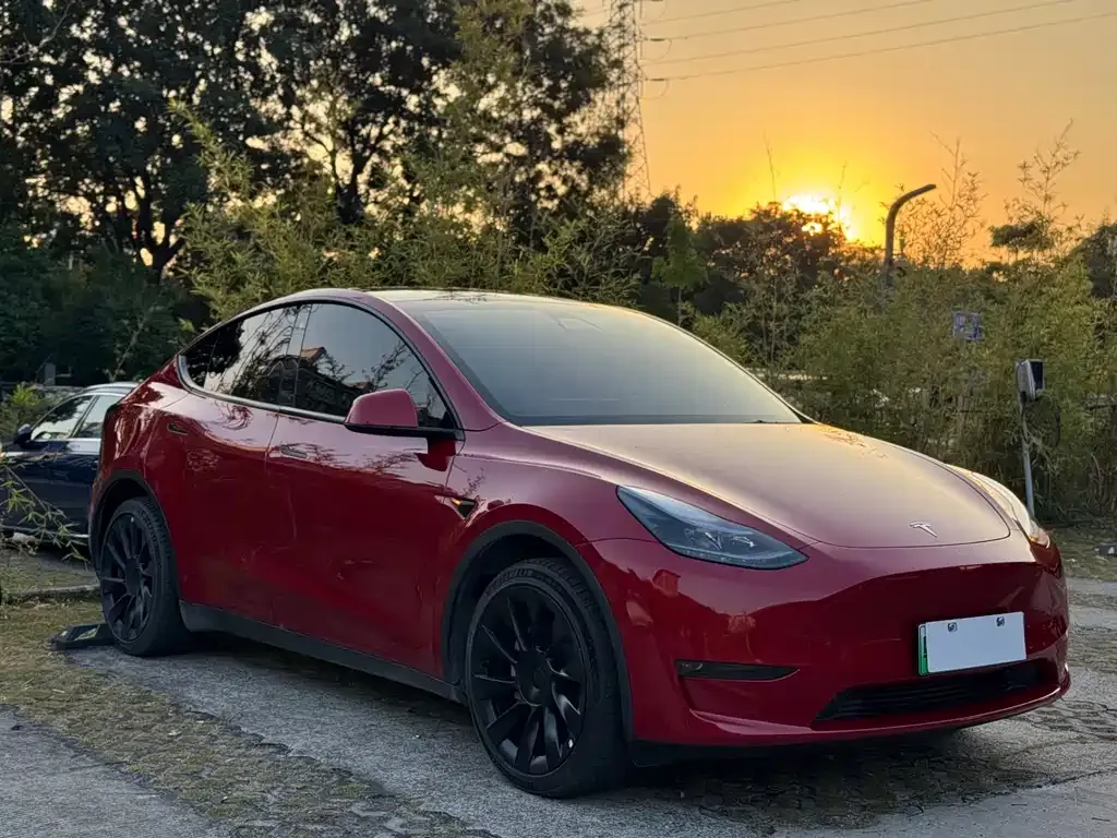 Tesla Model Y 2023 из CN, фото 5