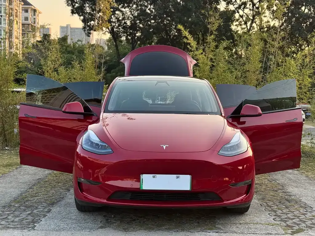 Tesla Model Y 2023 из CN, фото 3