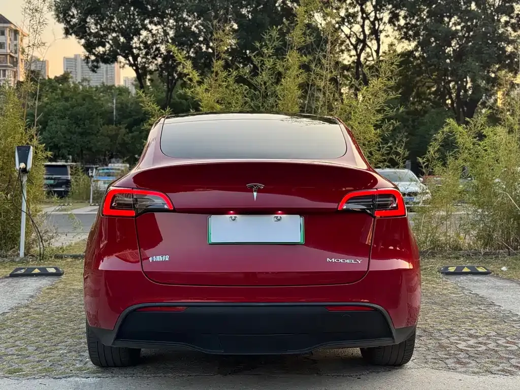 Tesla Model Y 2023 из CN, фото 6