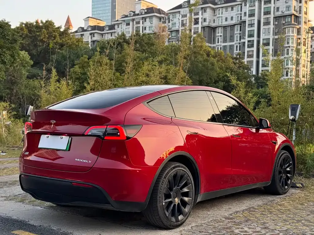 Tesla Model Y 2023 из CN, фото 4