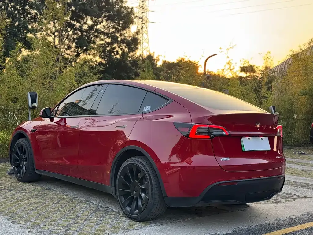 Tesla Model Y 2023 из CN, фото 7
