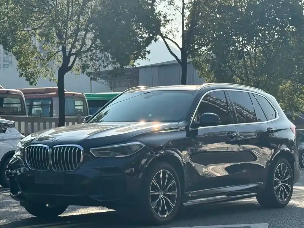 BMW X5 (Import) 2022 из CN, фото 1