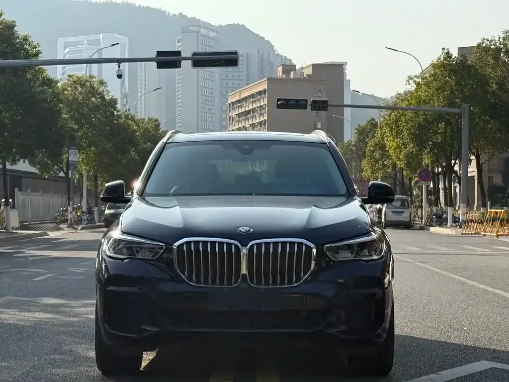BMW X5 (Import) 2022 из CN, фото 2