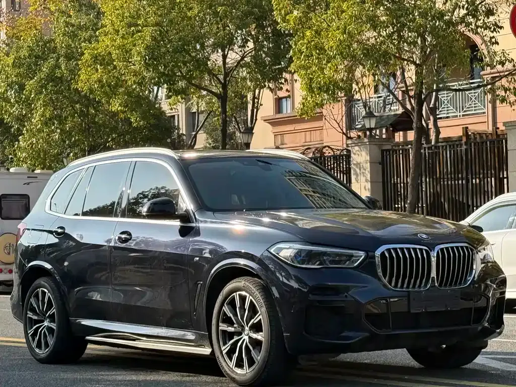 BMW X5 (Import) 2022 из CN, фото 3