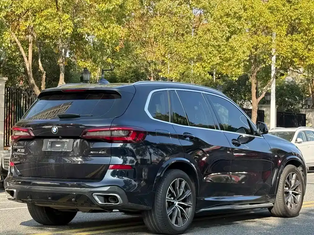 BMW X5 (Import) 2022 из CN, фото 6