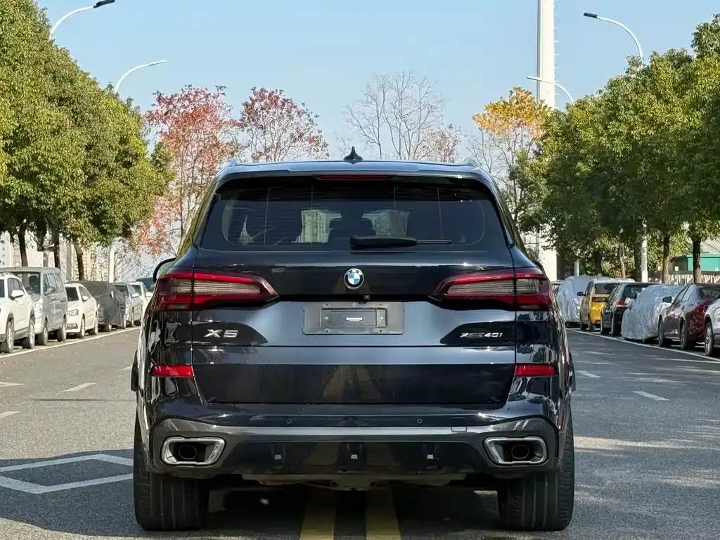 BMW X5 (Import) 2022 из CN, фото 8
