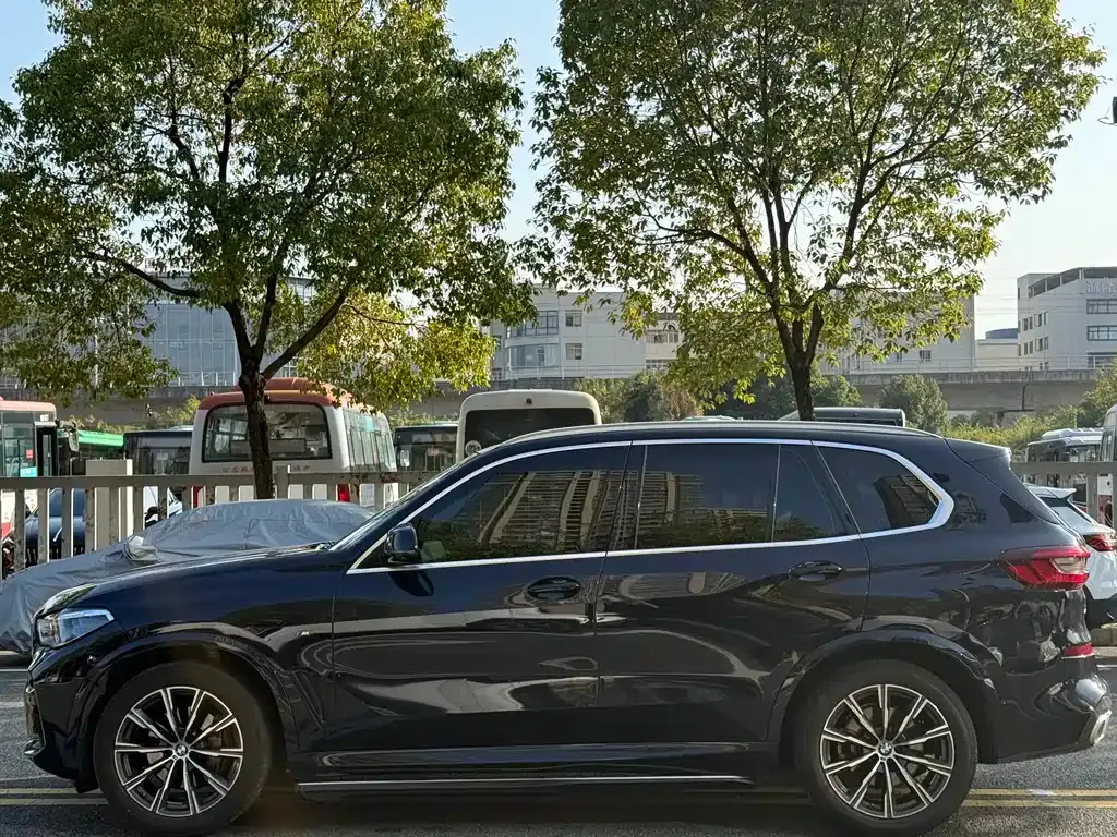BMW X5 (Import) 2022 из CN, фото 7