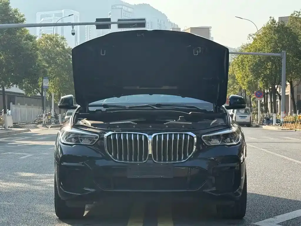 BMW X5 (Import) 2022 из CN, фото 5