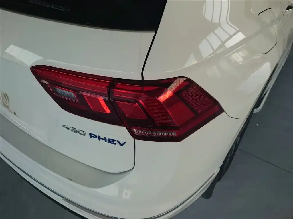 Volkswagen Tiguan L New Energy 2021 из CN, фото 6