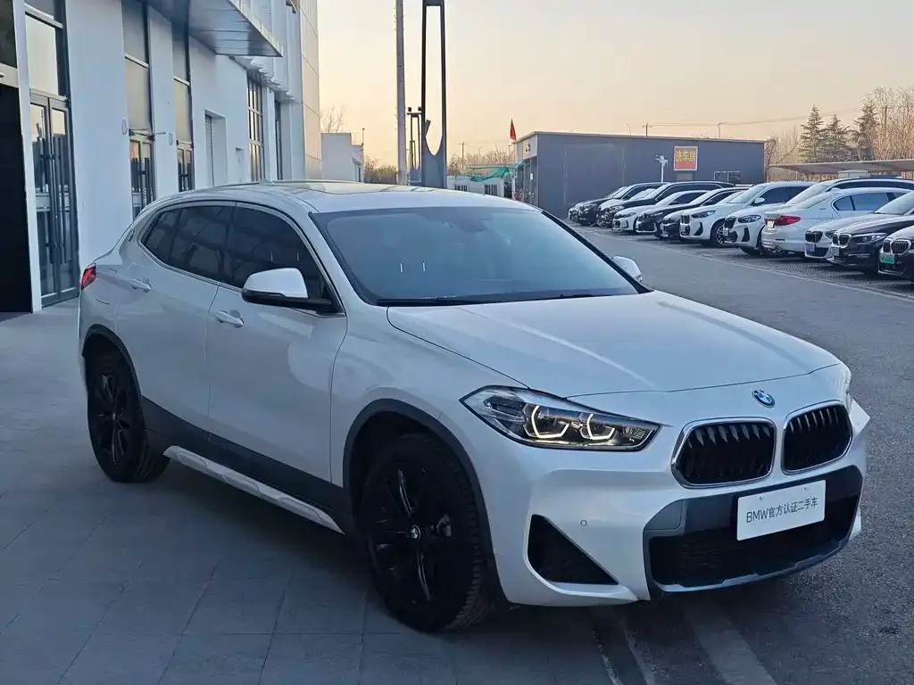 BMW X2 2022 из CN, фото 4