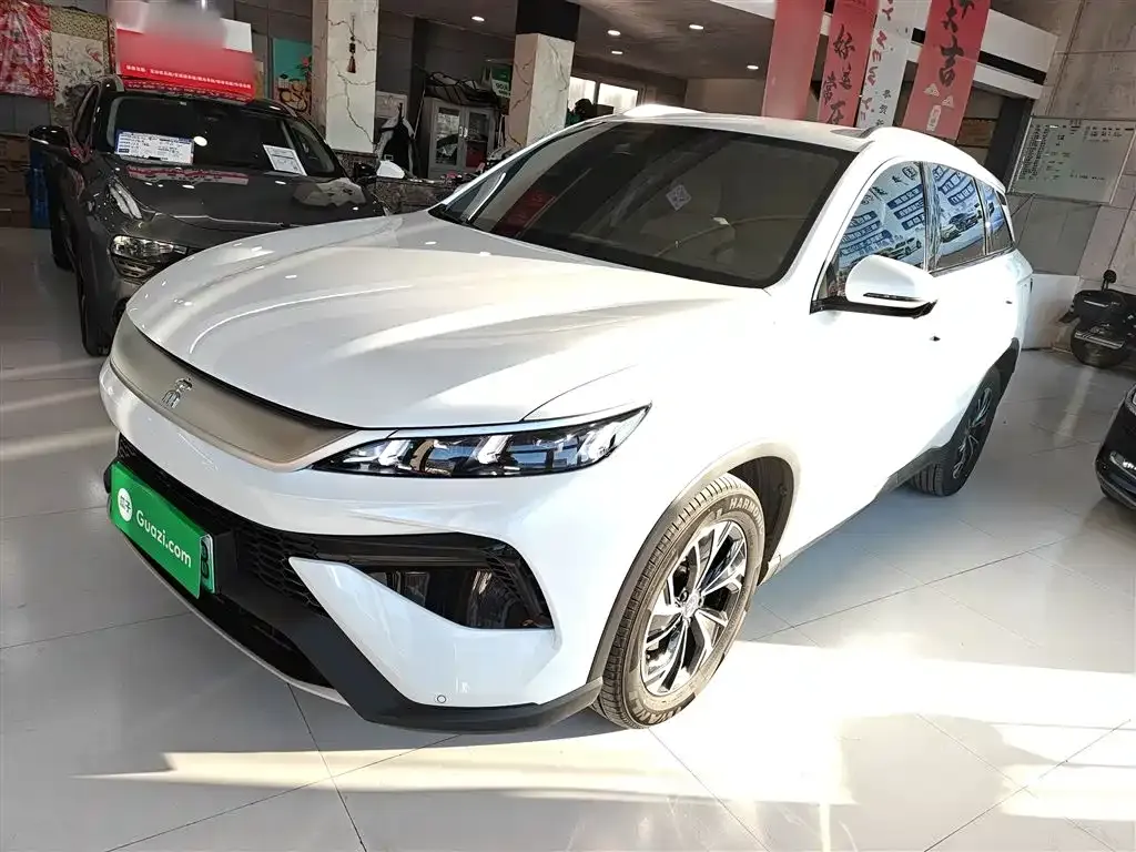 BYD Pro New Energy 2025 из CN, фото 9