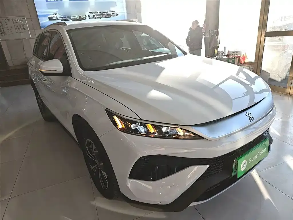 BYD Pro New Energy 2025 из CN, фото 3