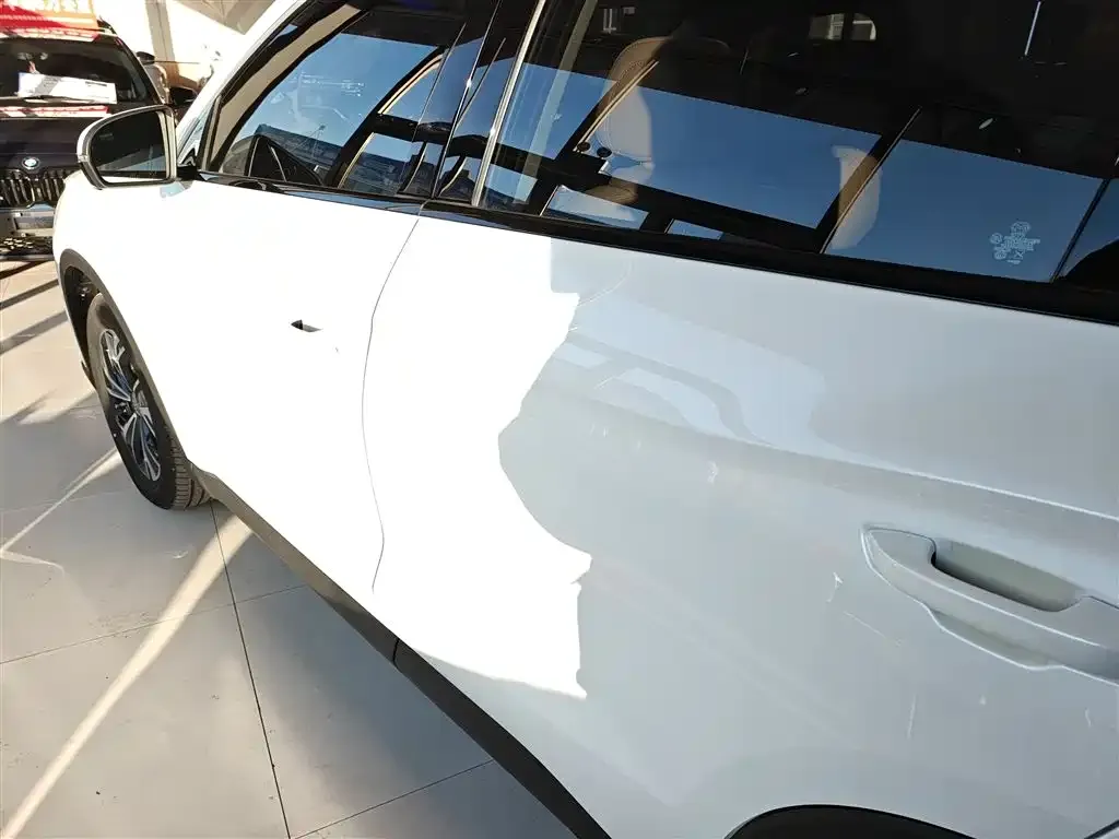 BYD Pro New Energy 2025 из CN, фото 2