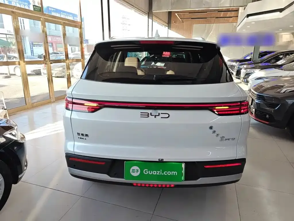 BYD Pro New Energy 2025 из CN, фото 10