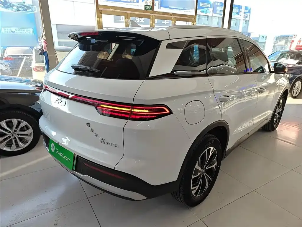BYD Pro New Energy 2025 из CN, фото 5