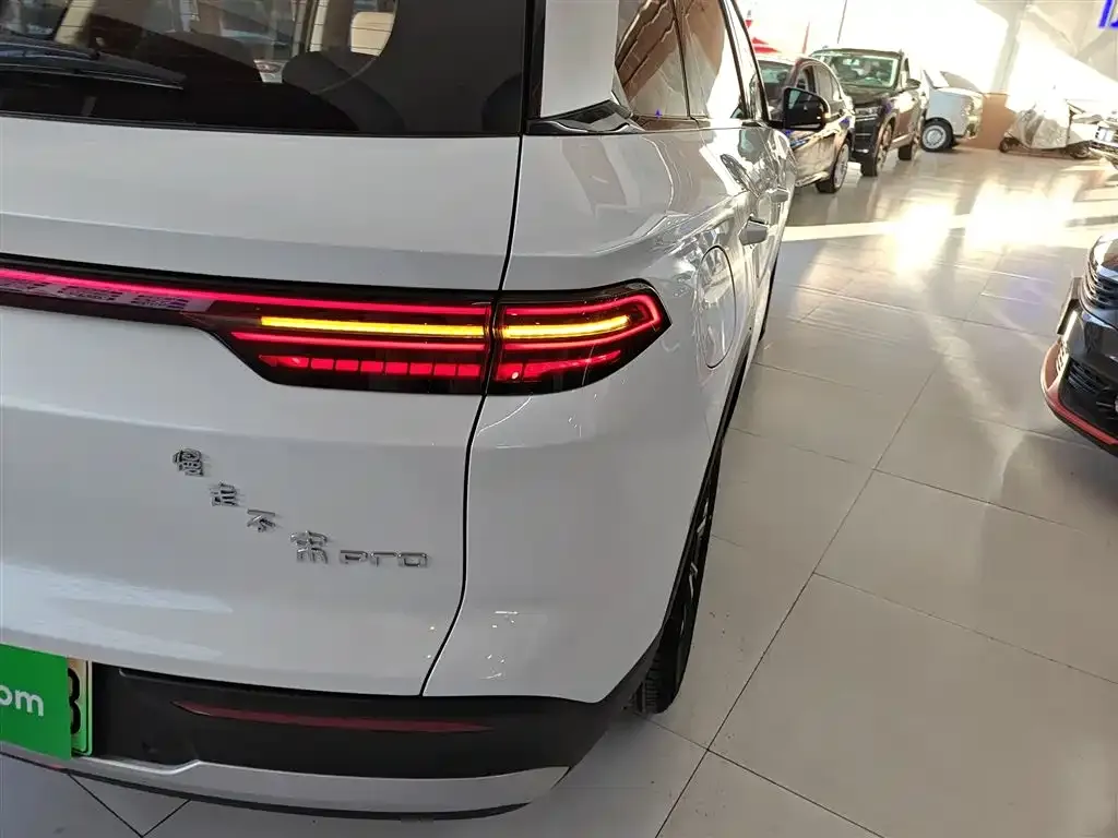 BYD Pro New Energy 2025 из CN, фото 7