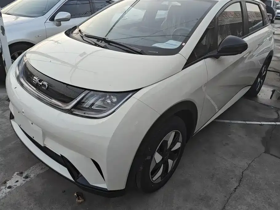 BYD Dolphin 2025 из CN, фото 1