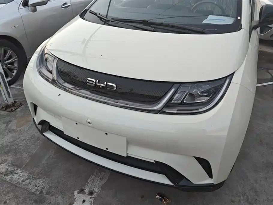 BYD Dolphin 2025 из CN, фото 2
